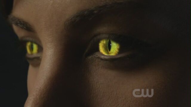File:1005Smallville0323.jpg