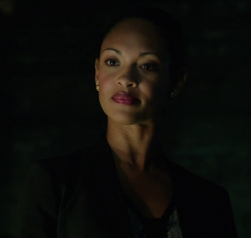 File:Amanda Waller (Arrow) 001.png