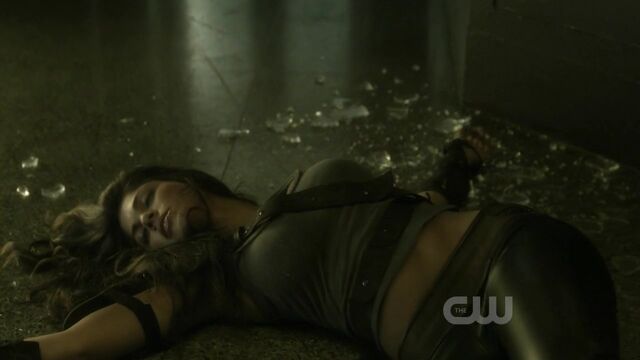 File:Smallvilles10e08720phdtvx264ctumkv 001623205-1-.jpg