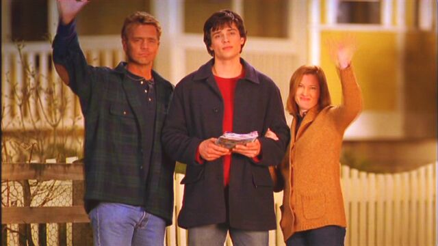 File:Stray4.jpg