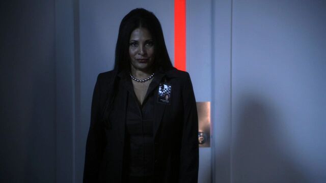 File:Agentwaller.jpg