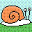 Moon Snail Icon