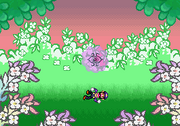 Psychoiris