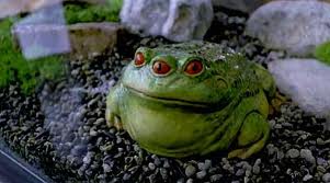 File:Tibetan Three-Eyed Toad.jpg