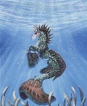 Hippocampus4