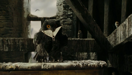 Someowl