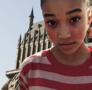 Hogwartsinthebackground2