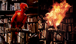 Fawkes3