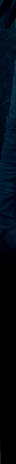 File:Question 4 Long.png