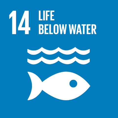 File:E SDG goals icons-individual-rgb-14.png