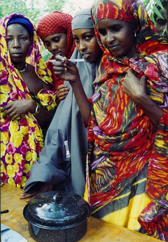 File:WAPI Dadaab.jpg