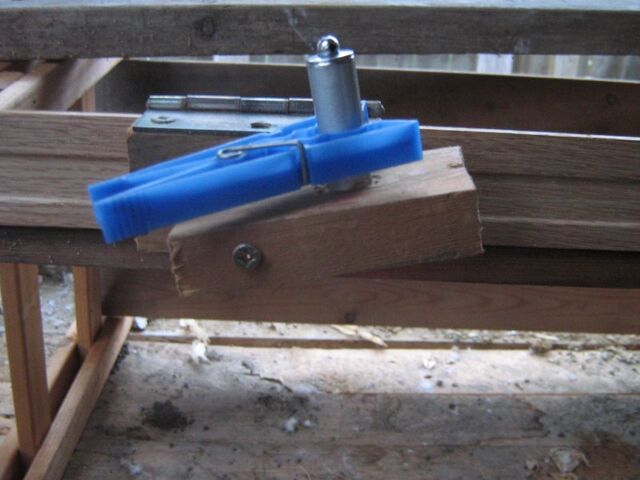 File:IMG 0789s.jpg