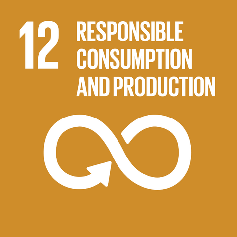 File:E SDG goals icons-individual-rgb-12.png