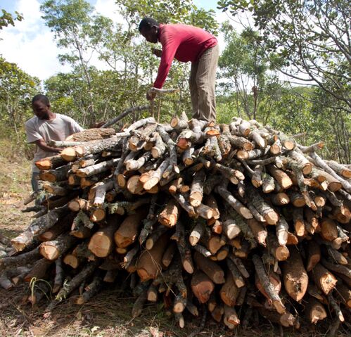 File:Charcoal production2.jpg