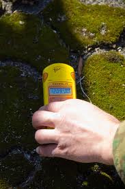 File:Chernobyl moss.jpg