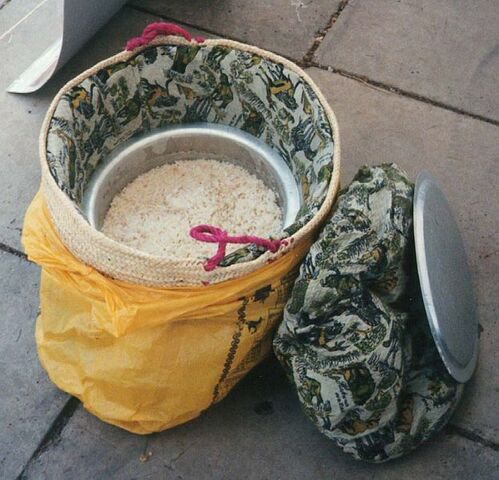 Fichier:Fireless-rice1.jpg