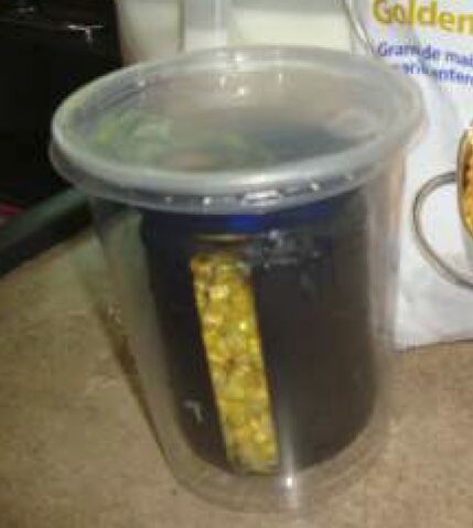 File:Poly P cooking containers 1.jpg