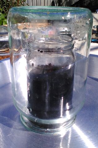File:Cloche still 2.jpg