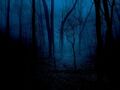 Thumbnail for version as of 16:20, April 25, 2013