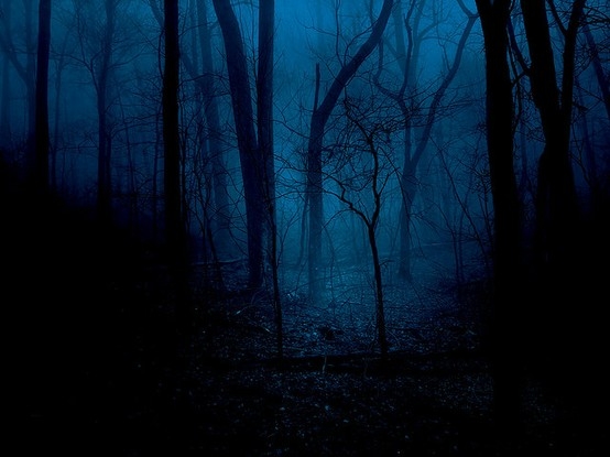 File:The woods.jpg
