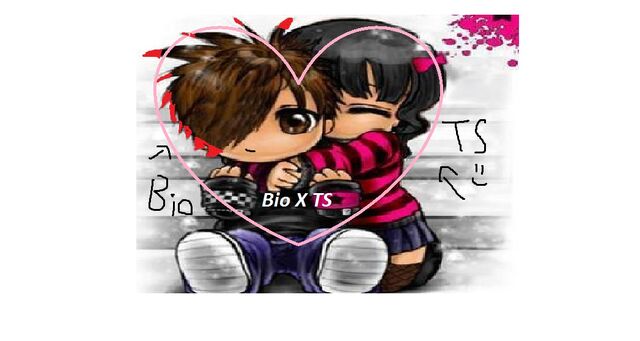 File:BioXTS.jpg
