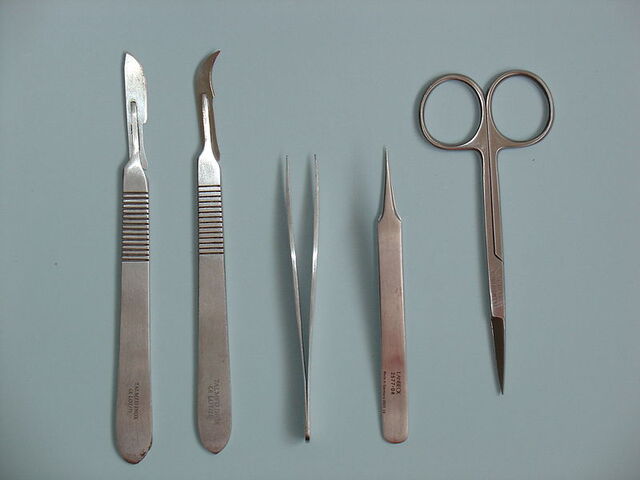 File:Surgical Instruments.jpg
