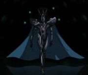 BlackNarrcissus