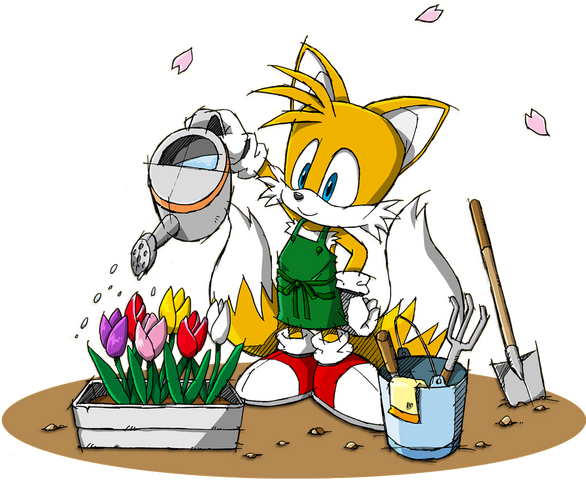 File:Sonic Channel - Miles Tails Prower 2013.png