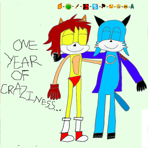File:One Year of Craziness.png