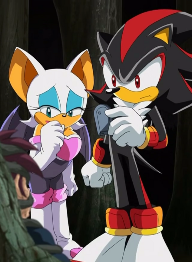 File:Ep72 Shadow and Rouge.png