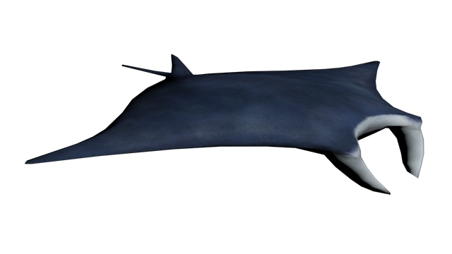 File:Manta.png