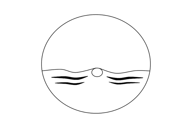 File:Face stripes.png