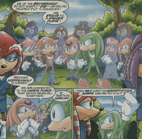 File:Next Evolution.jpg