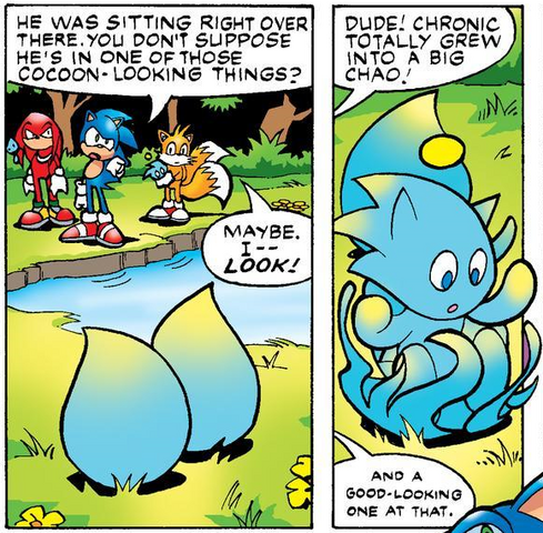 File:Chao cocoon Pre-SGW.png