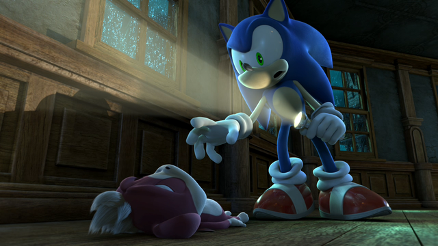 File:Sonic killed Chip.png