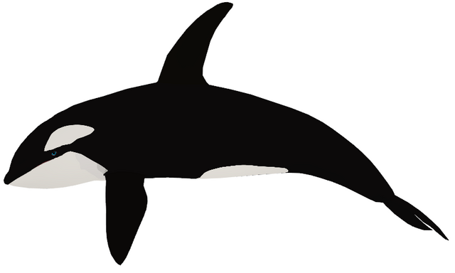 File:Orca generations model.png
