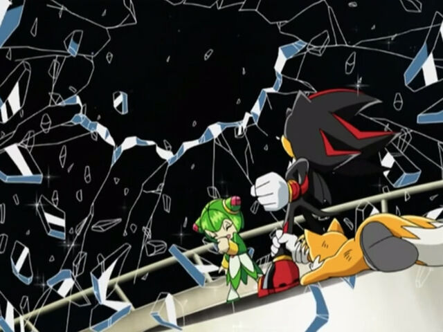 File:AssassinShadow205.jpg