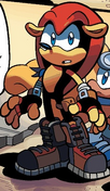 Mighty armadillo..png