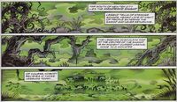Mandrake Swamp