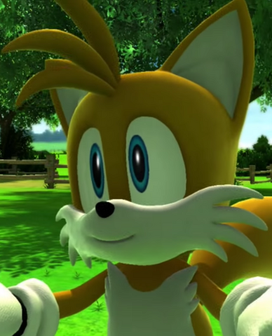File:SG Tails Sonic's Birthday.png