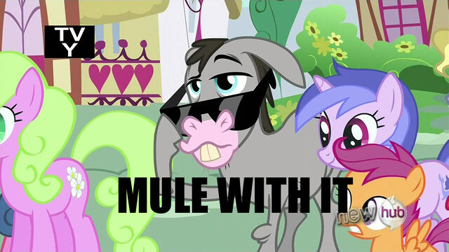 File:Mule with it.jpg