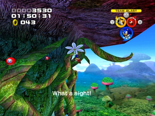 File:FROG FOREST 2.jpg