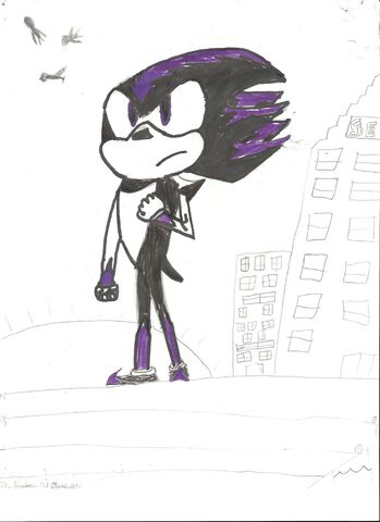 File:DarknessTheHedgehog.jpg