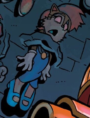 File:Sally Acorn Dark Mobius.jpg