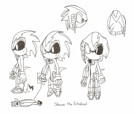 File:Shawn the Echidroid.png