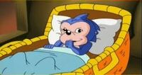 Hip Hedgehog