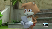 Gato selvagem processo.png