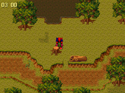 Fox Forest Eve 1