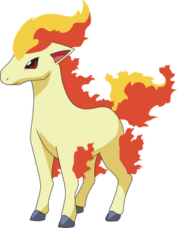 Ponyta AG anime