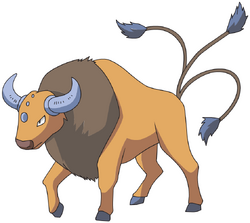 Tauros